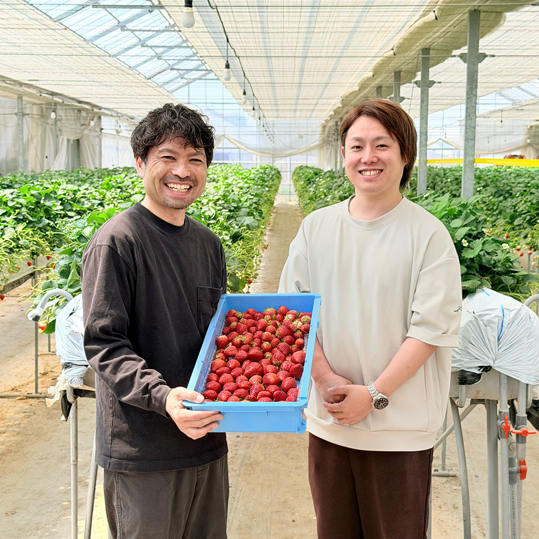 【菓房山清】仙台いちごのチーズカタラーナ