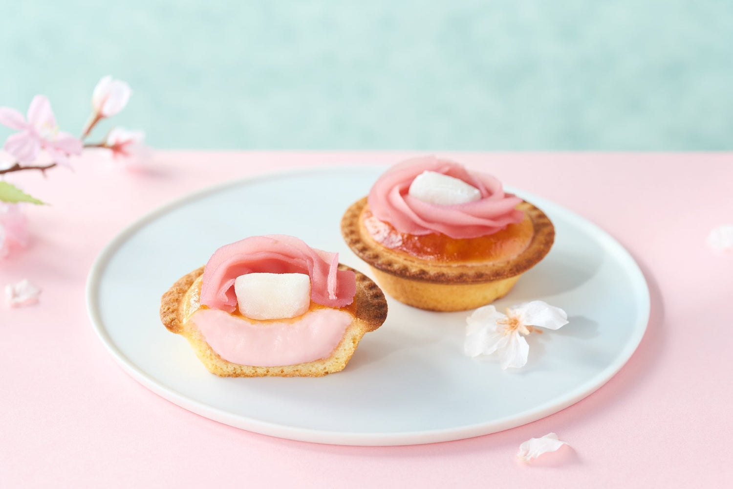 【BAKE CHEESE TART】3/1（土）新登場「焼きたてチーズタルト 桜もち」