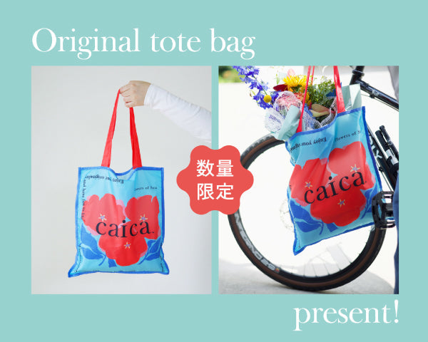 【caica】8月3日（月）発売！「caicaフロランショコラサンドおすすめセット」
